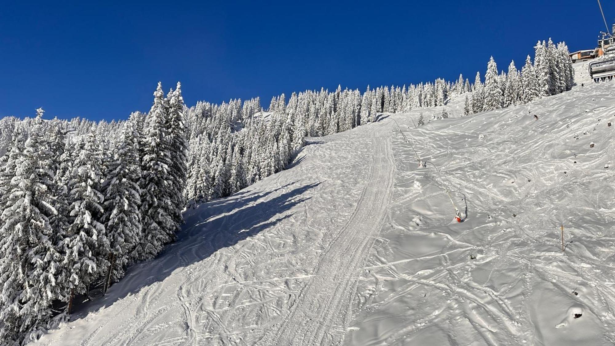 Bergdorf Zaglgut - In&ski Out Hotel 4*
